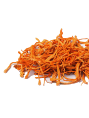Cordyceps mushroom